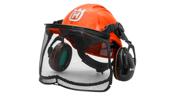 Head/Face  Protection