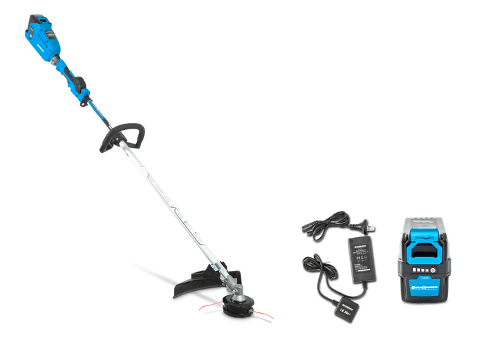L3601V - 5AH KIT 36v COMMERCIAL BATTERY TRIMMER & BATTERY AND CHARGER 5AH KIT